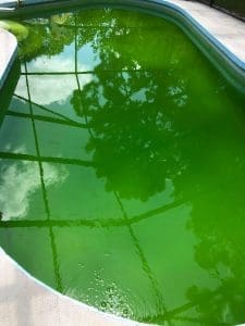 green-pool-1